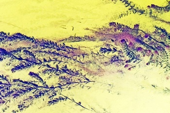 N 061A